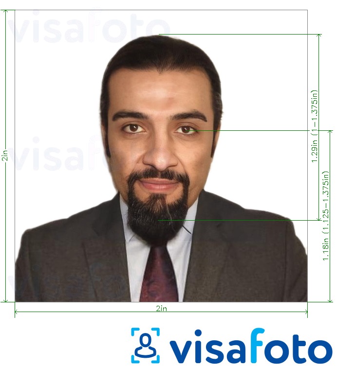 Exemples sur des photos pour Registre des arrivées des Émirats arabes unis 600x600 pixels avec les spécifications de taille exactes