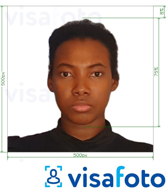 Exemples sur des photos pour Visa du Cameroun en ligne 500x500 px avec les spécifications de taille exactes