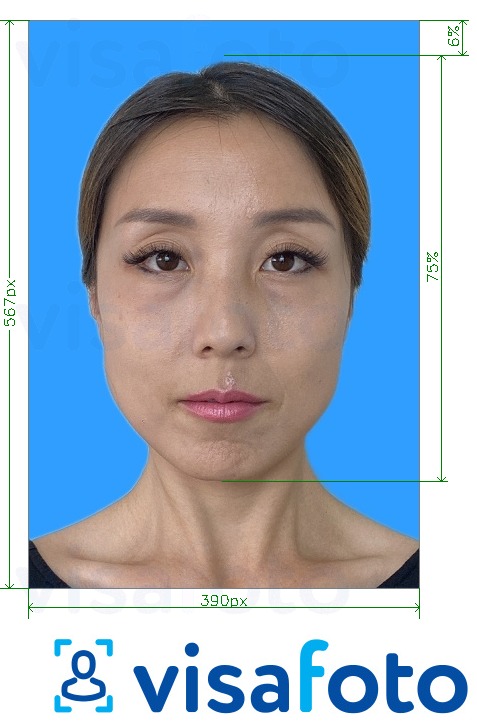 Exemples sur des photos pour Test de compétence Putonghua 390x567 pixels fond bleu avec les spécifications de taille exactes