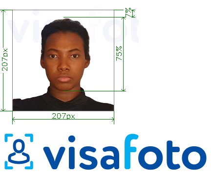 Exemples sur des photos pour Visa Kenya 207x207 pixel avec les spécifications de taille exactes