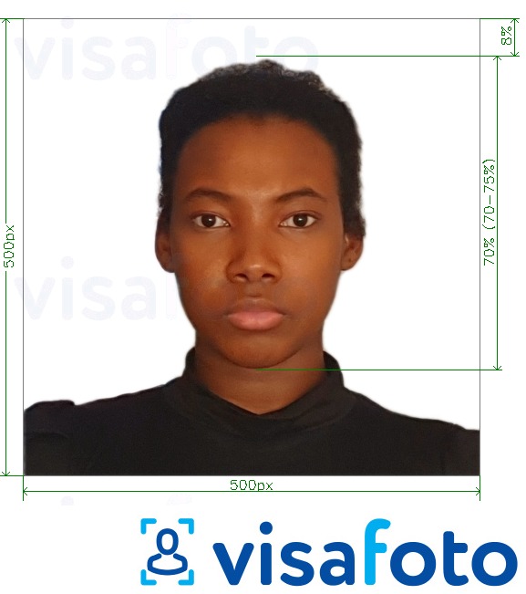 Exemples sur des photos pour Kenya e-visa en ligne 500x500 pixels avec les spécifications de taille exactes