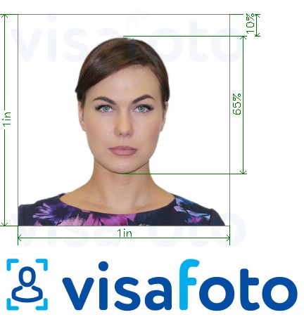 Exemples sur des photos pour Examen du barreau américain 300x300 pixels avec les spécifications de taille exactes